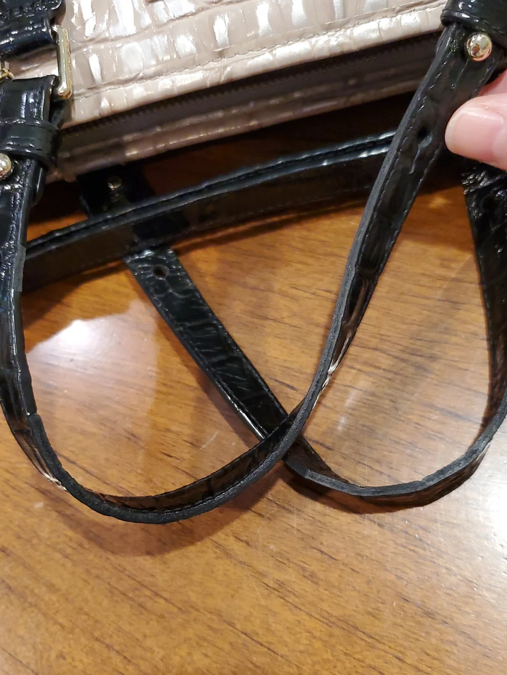 Brahmin Medium Asher Tote